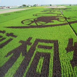 認識雲林縣莿桐鄉